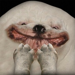 DOC