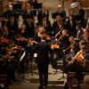 SENIOR ORCHESTRA: Music From 'Frozen'