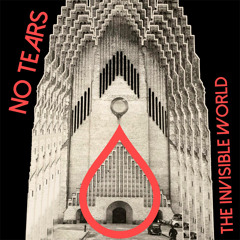 No Tears Presents The Invisible World
