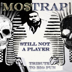 Big Punisher - Still Not A Player (Mo$trap Trapute Mix)