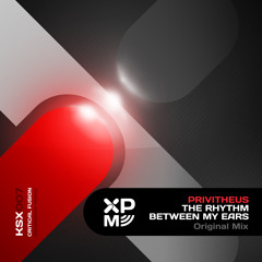 The Rhythm Between My Ears (Original Mix)