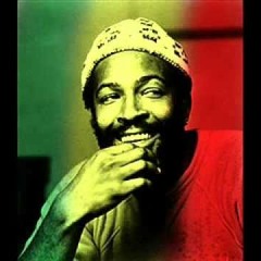 DJDANASAUR - MarvinGaye x StandByMe(REGGAE REMIX)2015