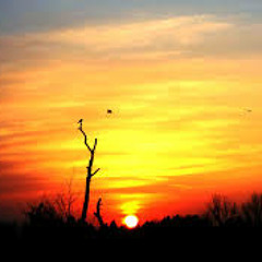 Jambronk N DeWoles - Melayang