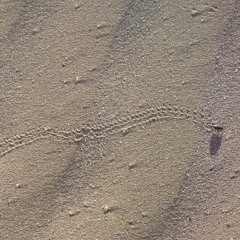 Lee Hope: In The Beginning Was The End