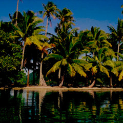 Exultation  (Original Mix)