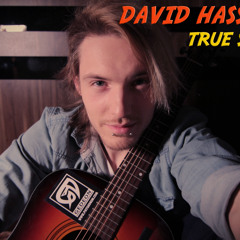 David Hasselhoff - True Survivor (acoustic cover)