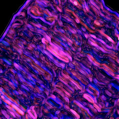 we could be today (demo)