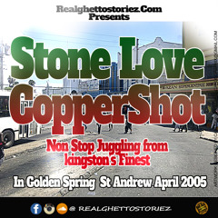 STONE LOVE LS COPPER SHOT IN GOLDEN SPRING.APRIL2K5