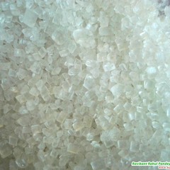 Maddy And Leda (w Harmony)