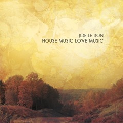Joe Le Bon - Like Cotton Deep Orchestra