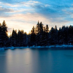 Thinning Ice || Elisia Albin