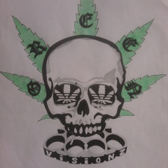 GreenVisionz - The Stopper (remix)