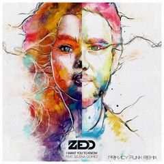 Zedd - I Want u 2 Know  Ft. S.Gomez (Primacy Funk Remix)