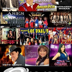 HIPOCRECIA PAULINA ANDRADE