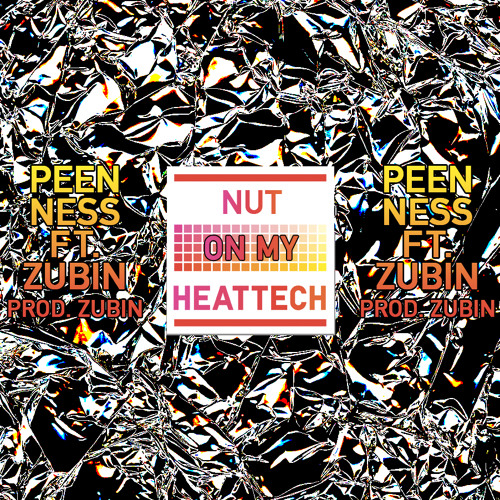 Peen Ness Ft. Zubin (Prod. Zubin) - Nut On My Heattech