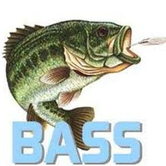 bassness