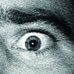 Things Are Behind The Wall