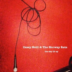 THE SKY LIT UP (PJ Harvey cover)