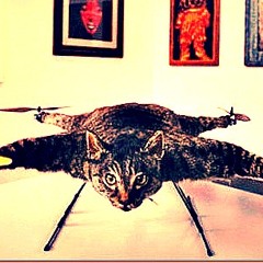 LuiSBolanhoS - Chopper (Preview)