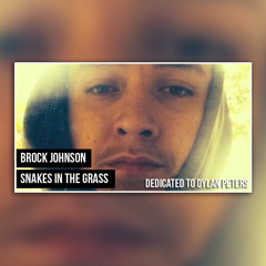 BROCK JOHNSON -  Snakes In The Grass