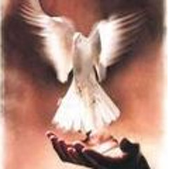 (فليمسي وطني حرا .. فليرحل محتلي )