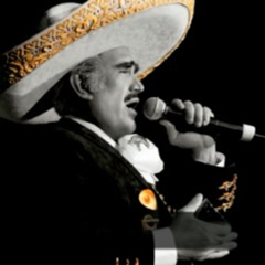 Sounds from La unica estrella - Vicente Fernandez
