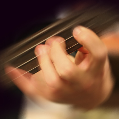 Stringburning Tunes with Mirko Borach on bass