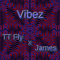 TT FLY -  Vibez   (Ft. James)