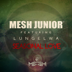 Seasonal Love(Radio Edite)