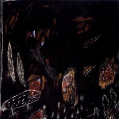 우리는 속옷도 생겼고 여자도 늘었다네 - 멕시코행 고속열차