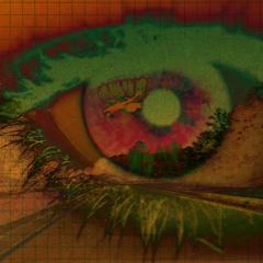 Searching For Meaning