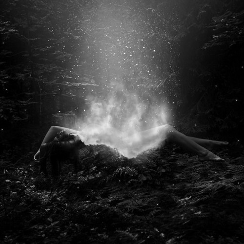 the universe inside of you