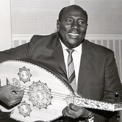 عبد العزيز محمد داؤود