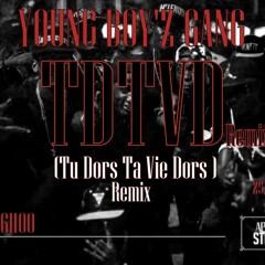 Tu Dors Ta Vie Dors (Remix)