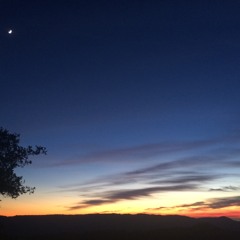 Hold Me Through The Night