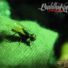 08 Funkyshit com Johny Gumble, Indigs e Mininigga