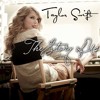 Story Of Us - Taylor Swift (Voice Only Cover)