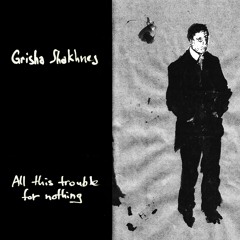 Grisha Shakhnes - Hectic Light (allemagne - Palestine)