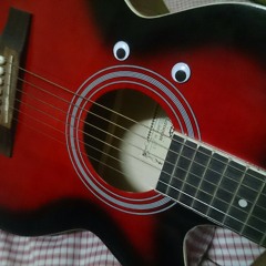 Beautiful in white (guitar cover)