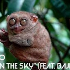 Bonobo - Walk In The Sky Feat. Bajka (Husen Private Edit)