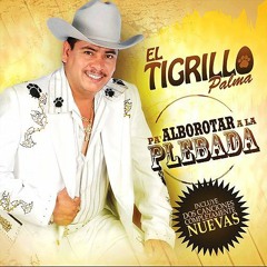 PROXIMANENTE EL TIGRILLO PALMA EN "EL PATRON" Sab 23 De Mayo