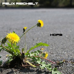 Felix Reichelt - Hope (Original Mix)