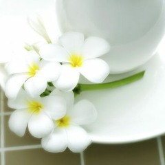 ชีวิตฉันขาดเธอไม่ได้ - แนน สาธิดา พรหมพิริย