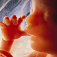 Shit-Can The Promises