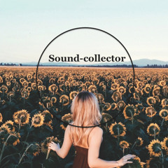 Tom Rosenthal - Go Solo (Niklas Ibach Remix)