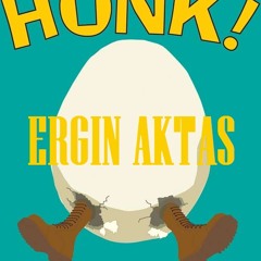 Dj Ergin Aktaş - Soundig Honk (Original Mix)