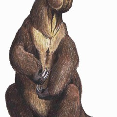 RHINOSIZEDGROUNDSLOTH