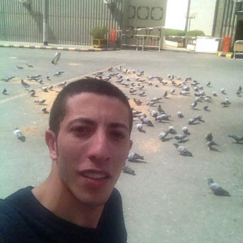 حما لين  فتحي