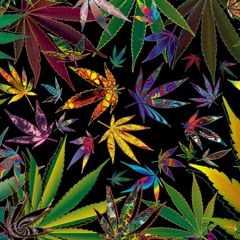 REGGAE ™