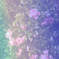 Image Circle .~.:':.~. Secret Pond